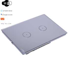 INTERRUPTOR TOUCH TOK GLASS 2 PADS WI-FI PRATA 4X2