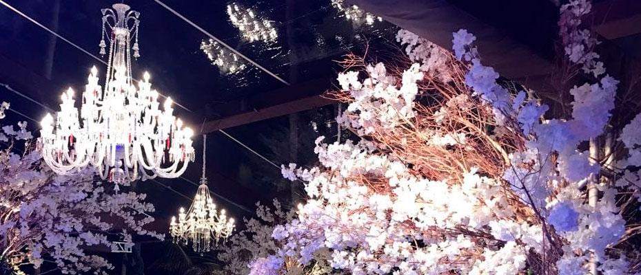Lustres para eventos: 4 dicas de ambientes